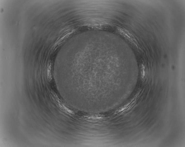 X0000087671060200705181659