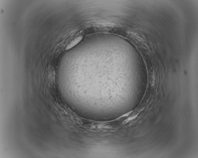 X0000087671061200705181659