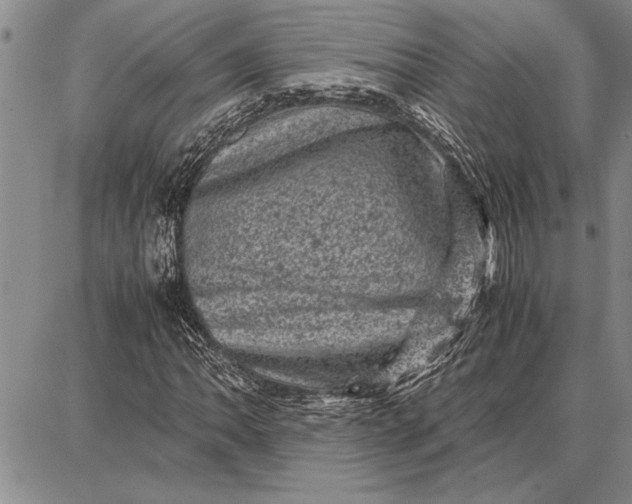 X0000087671062200705181659