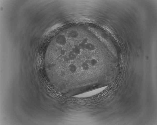 X0000087671063200705181659