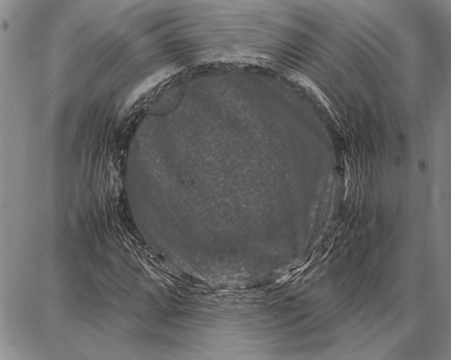 X0000087671064200705181659