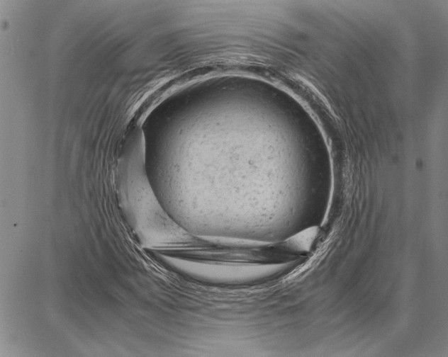 X0000087671065200705181659