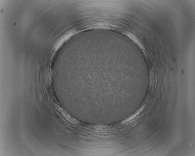 X0000087671067200705181659