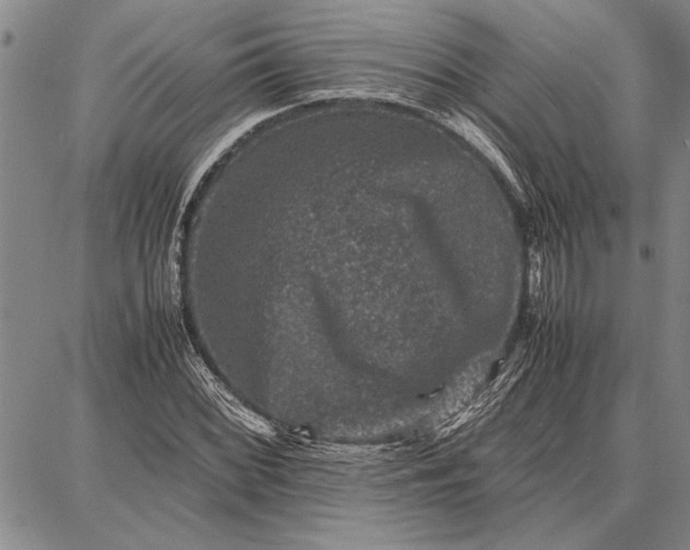 X0000087671068200705181659