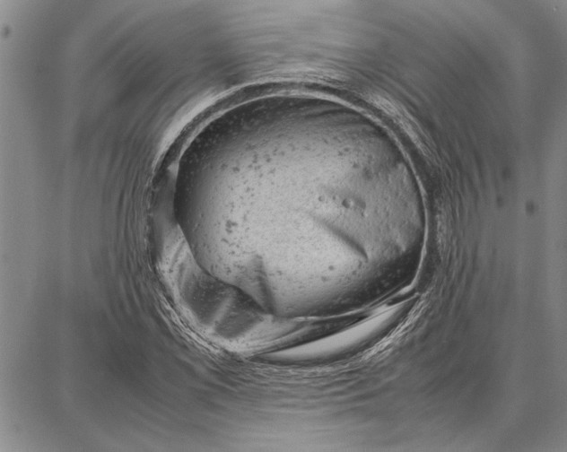 X0000087671069200705181659