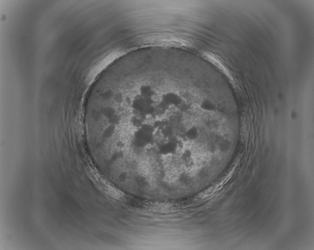 X0000087671071200705181659