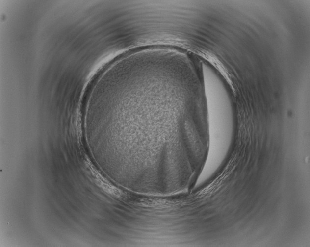 X0000087671072200705181659