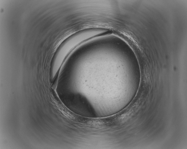 X0000087671073200705181659