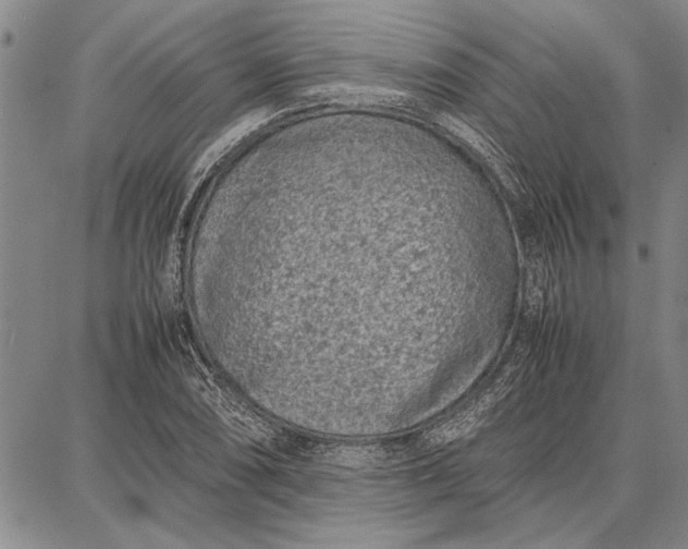 X0000087671074200705181659