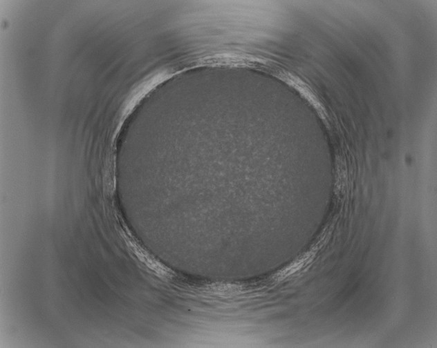 X0000087671075200705181659