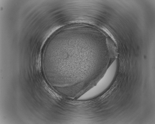 X0000087671076200705181659