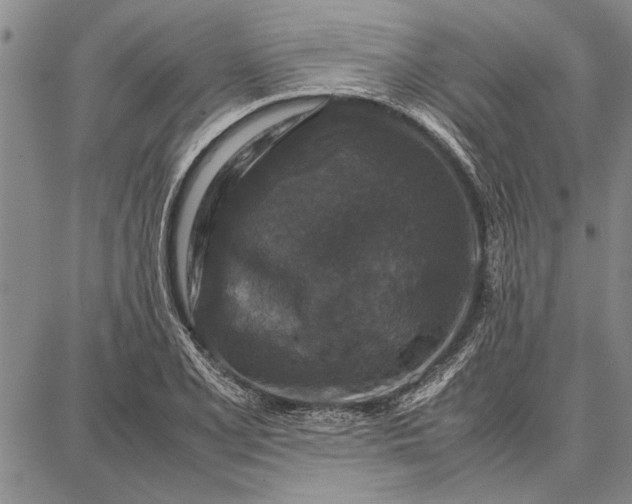 X0000087671077200705181659