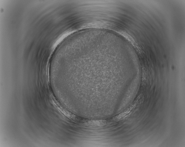 X0000087671078200705181659