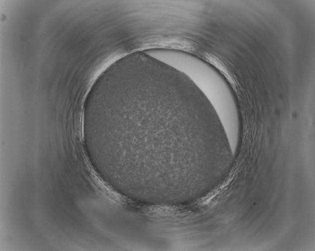 X0000087671079200705181659