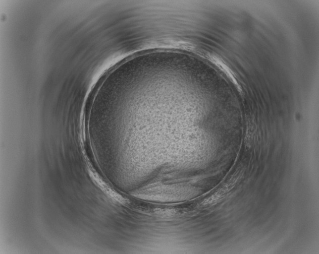 X0000087671080200705181659