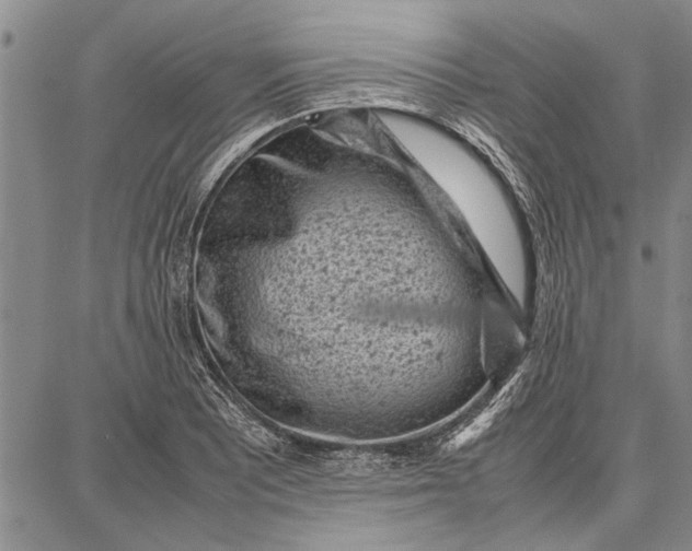 X0000087671081200705181659