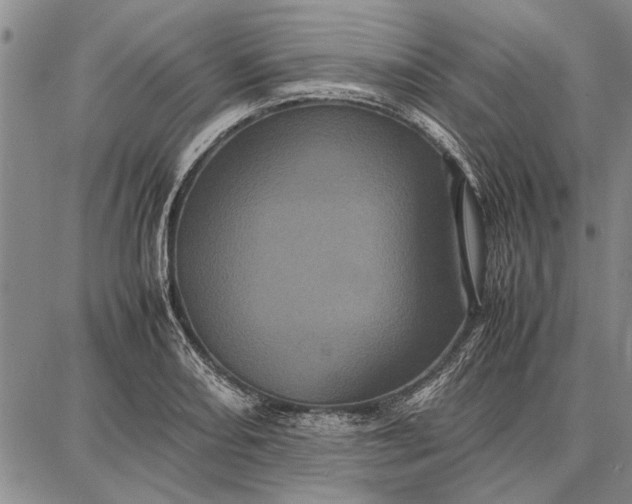 X0000087671082200705181659