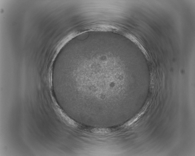 X0000087671083200705181659