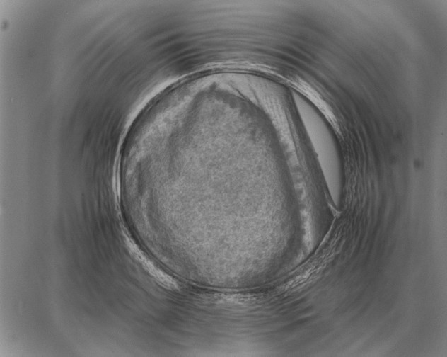 X0000087671084200705181659