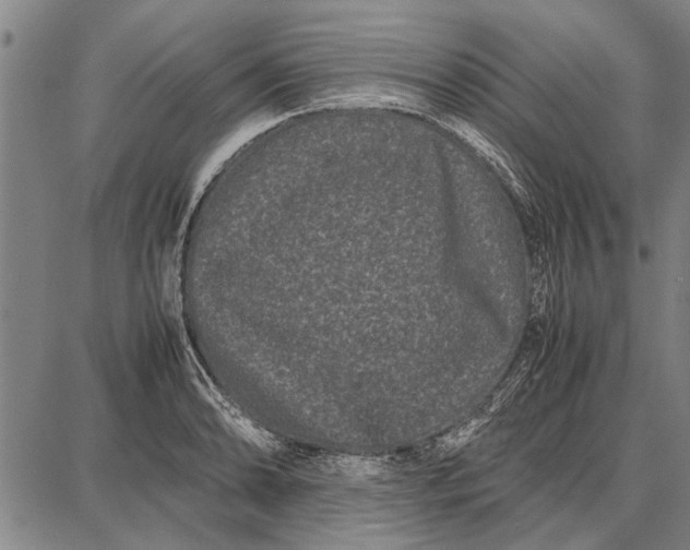 X0000087671086200705181659