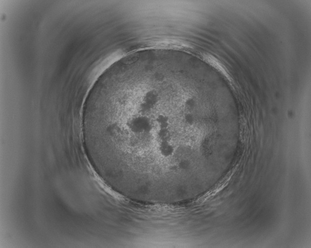 X0000087671087200705181658