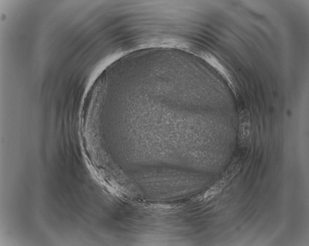 X0000087671088200705181658