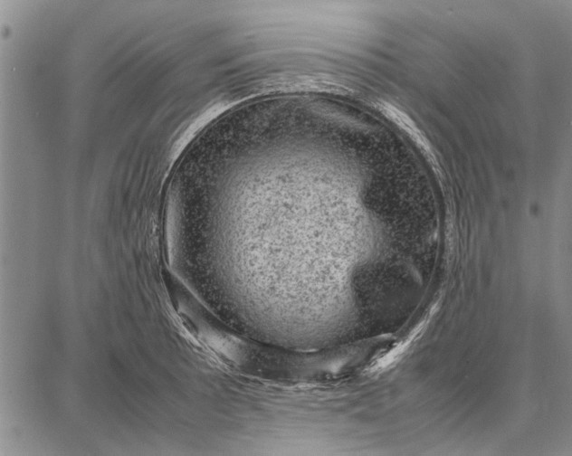 X0000087671089200705181658