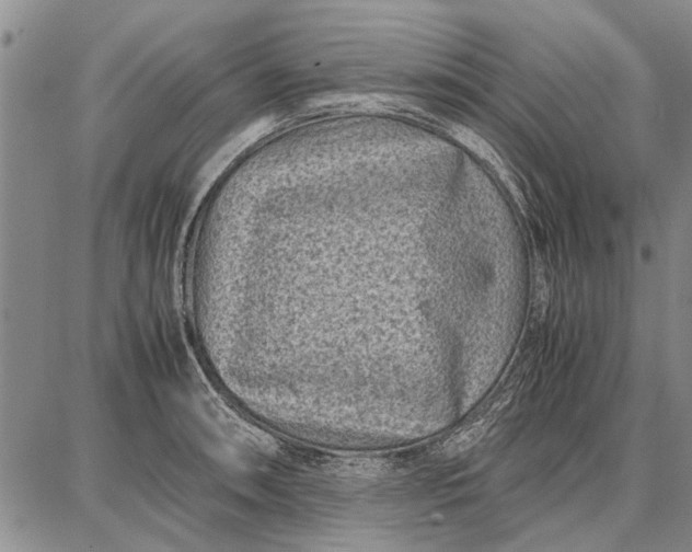 X0000087671090200705181658