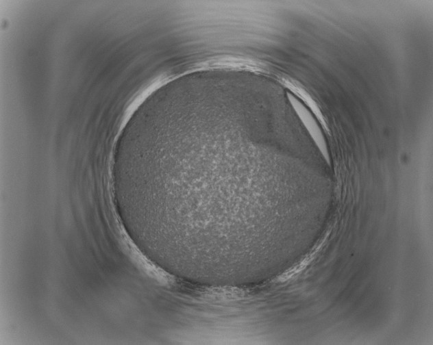 X0000087671091200705181658