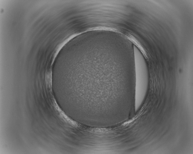 X0000087671092200705181658