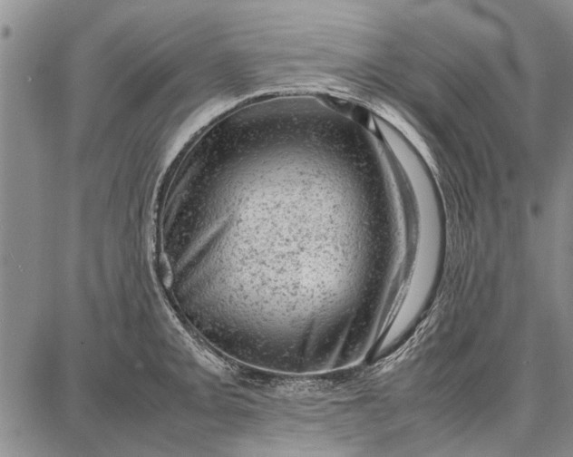 X0000087671093200705181658