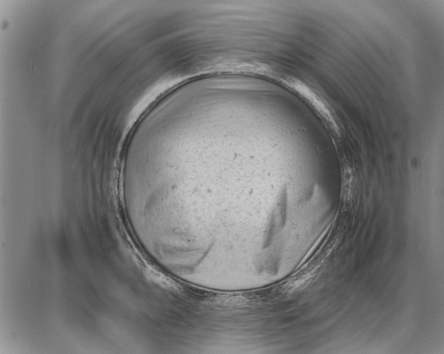 X0000087671094200705181658