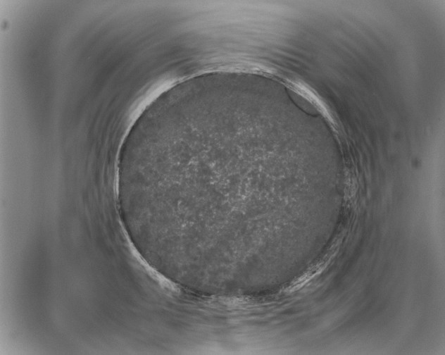 X0000087671095200705181658