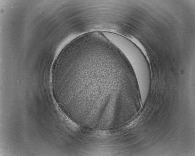 X0000087671096200705181658