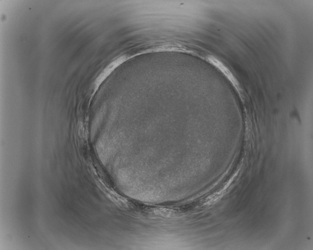 X0000087671097200705181658