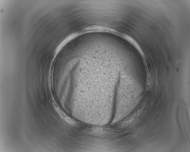 X0000087671098200705181658