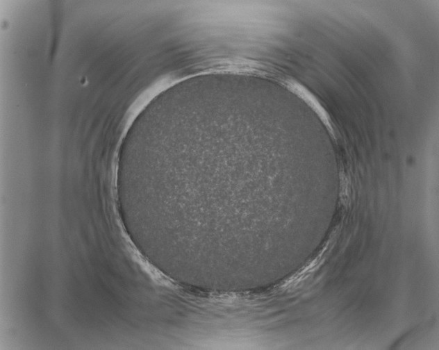 X0000087671099200705181658