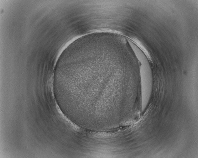 X0000087671100200705181658