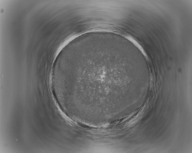 X0000087671101200705181658