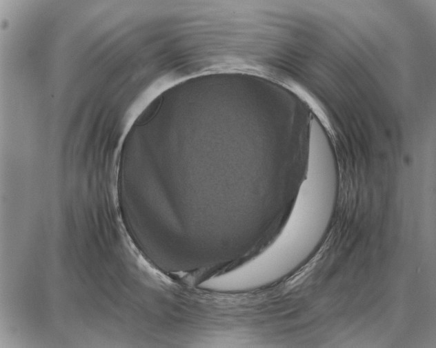 X0000087671102200705181658