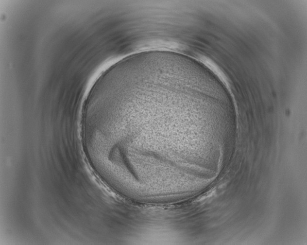 X0000087671104200705181658