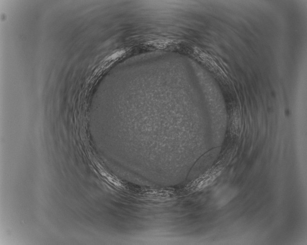 X0000087671105200705181657