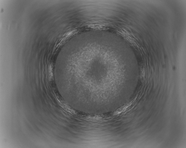 X0000087671106200705181657