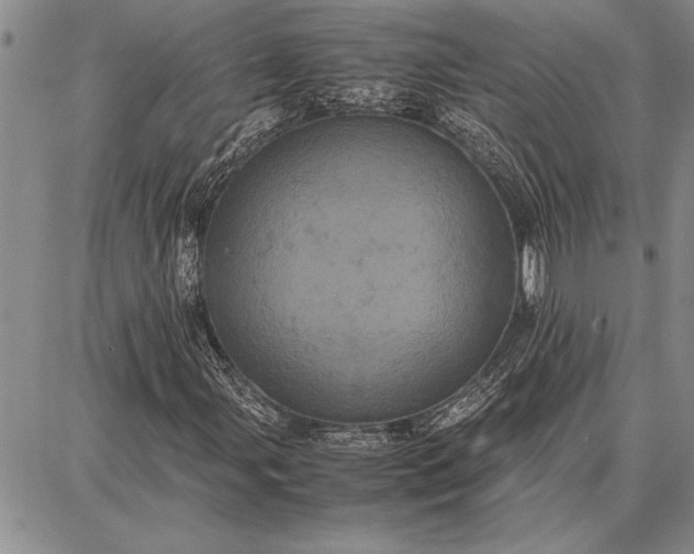 X0000087671107200705181657