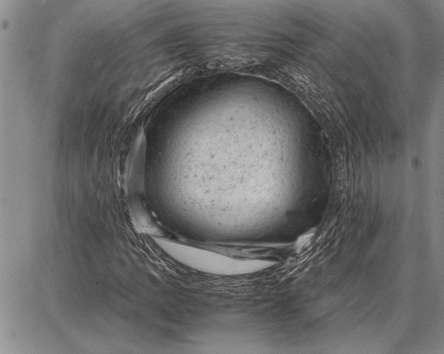 X0000087671109200705181658