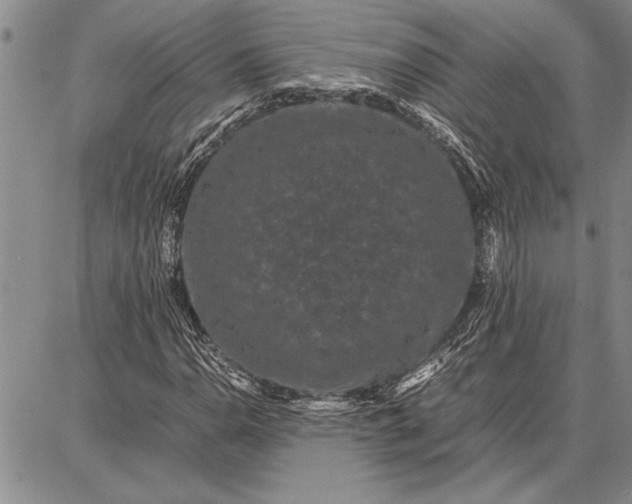 X0000087671110200705181658