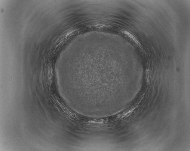 X0000087671111200705181658