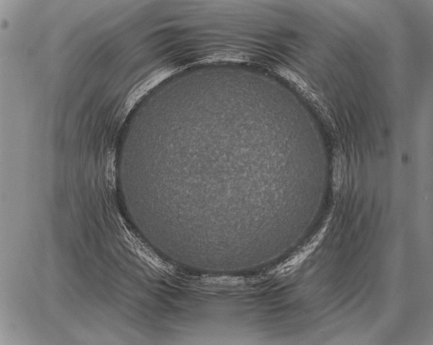 X0000087671113200705181658