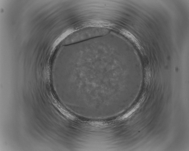 X0000087671114200705181658