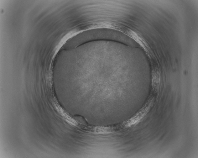 X0000087671116200705181658